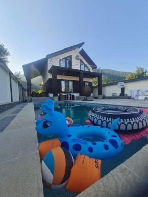 Mountain view villa with pool